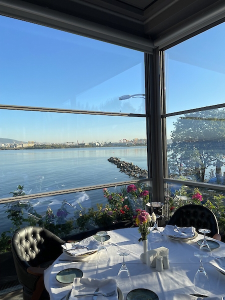 Giyotin Cam Sistemleri